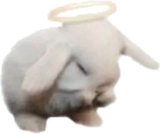 angel_bunny sticker