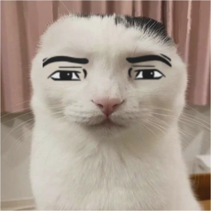 ManfaceCat emote