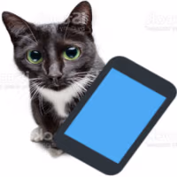 phonecat emote