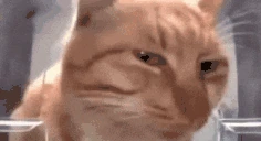mrfresh emote