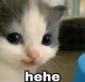 CatHehe emote