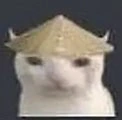 kot emote