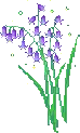 Aesthetic_Purple_Flower emote