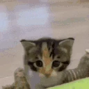 hello emote