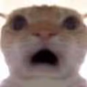 0 emote