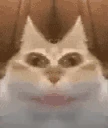 mrm emote