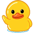 duckHey emote