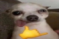 abayunda emote