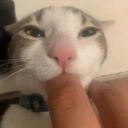 pososun emote