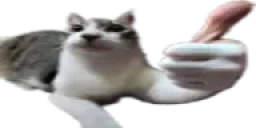 OKAY emote