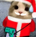 oopsie emote