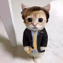 SaulCatman emote