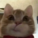 CatHmm emote