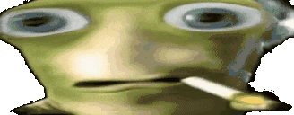 WhatTaahFuck emote
