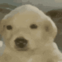 um animated emote