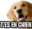 GrosChien emote