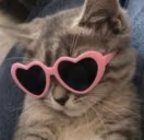 TooCoolForYou emote
