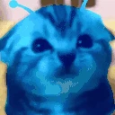 blore emote