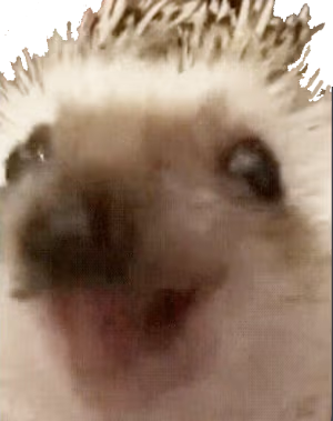 happyhedgy emote