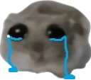 ohCry emote