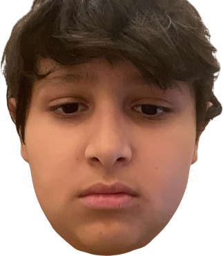 saudserious