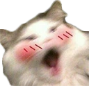 CE_Blush2 emote