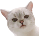 Nana_Wtf static emote
