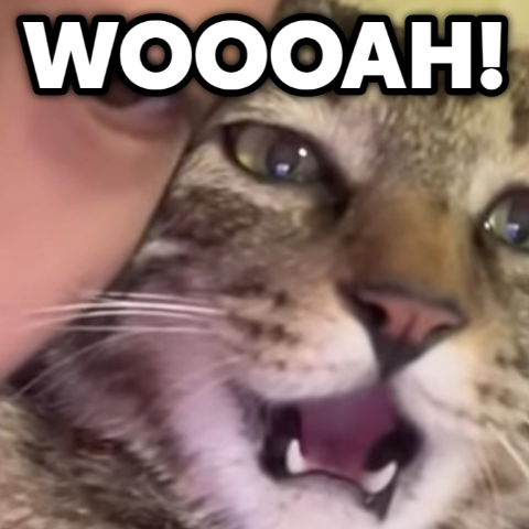 woooah static emote