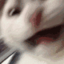 scream