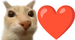 pami emote