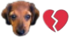 idiot emote