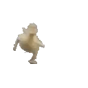 duckArrive emote