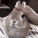 patty emote
