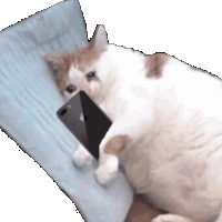 Sadcat_phone emote