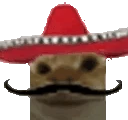 SiSi emote