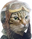 PilotCat emote