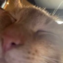 eepycar emote