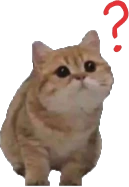 catWhat_questionMark emote