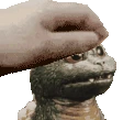 goji_jrPet emote