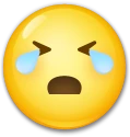 eCry emote