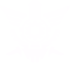 Artificierolostart21 emote