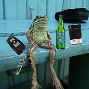 tyrr99 avatar