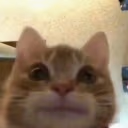 emm emote