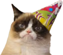 grumpycat_birthday emote