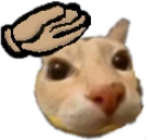 d7 emote