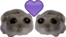 ohmies emote