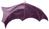 bat_wing_right emote