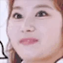 sanaKEK emote