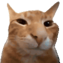 buhtime animated emote