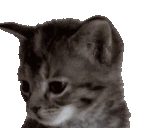 yawner emote